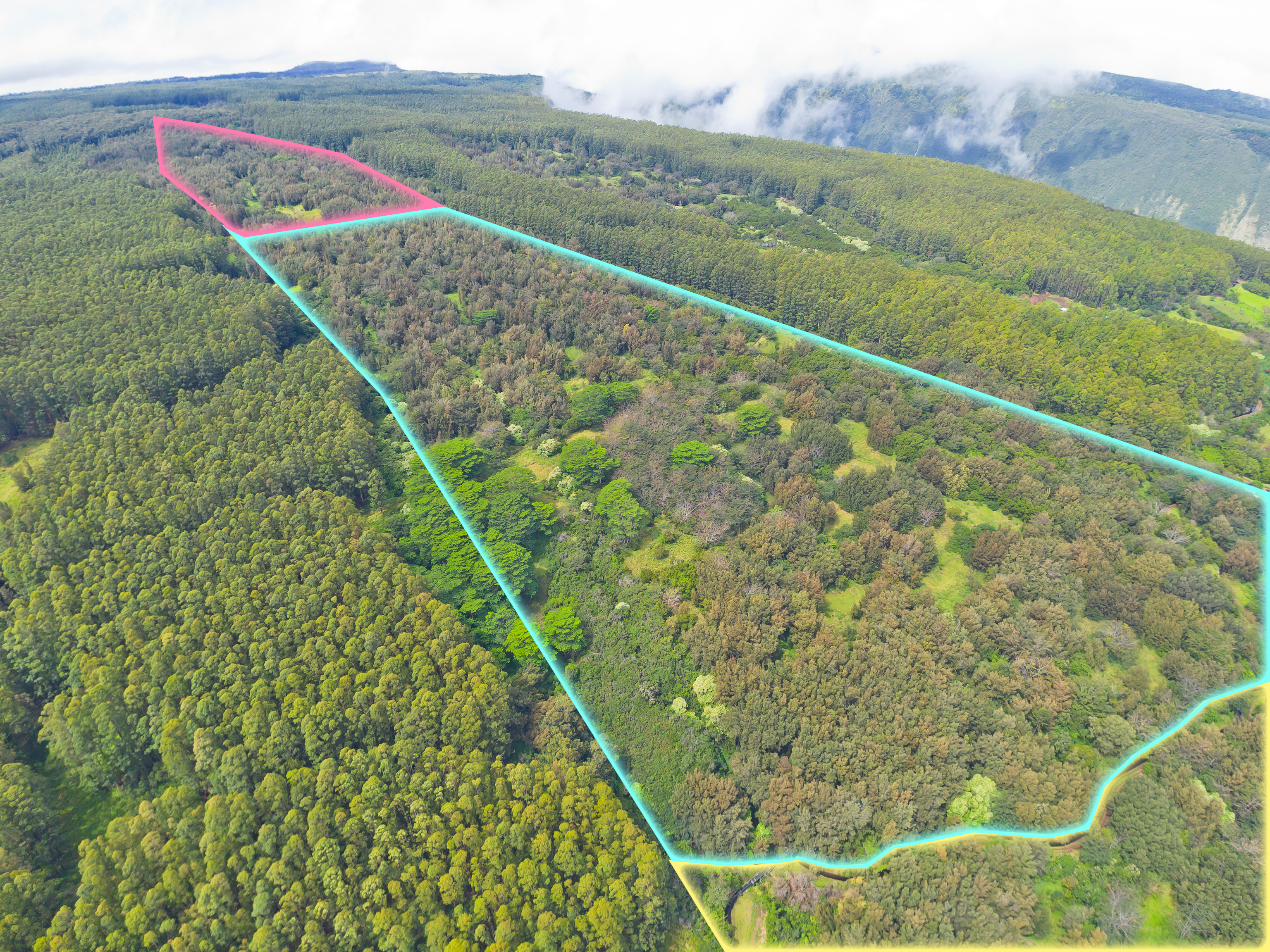 Undisclosed Address Honokaa, HI 96727 - Photo 3 of 15 a view of a lush green field with an outdoor space