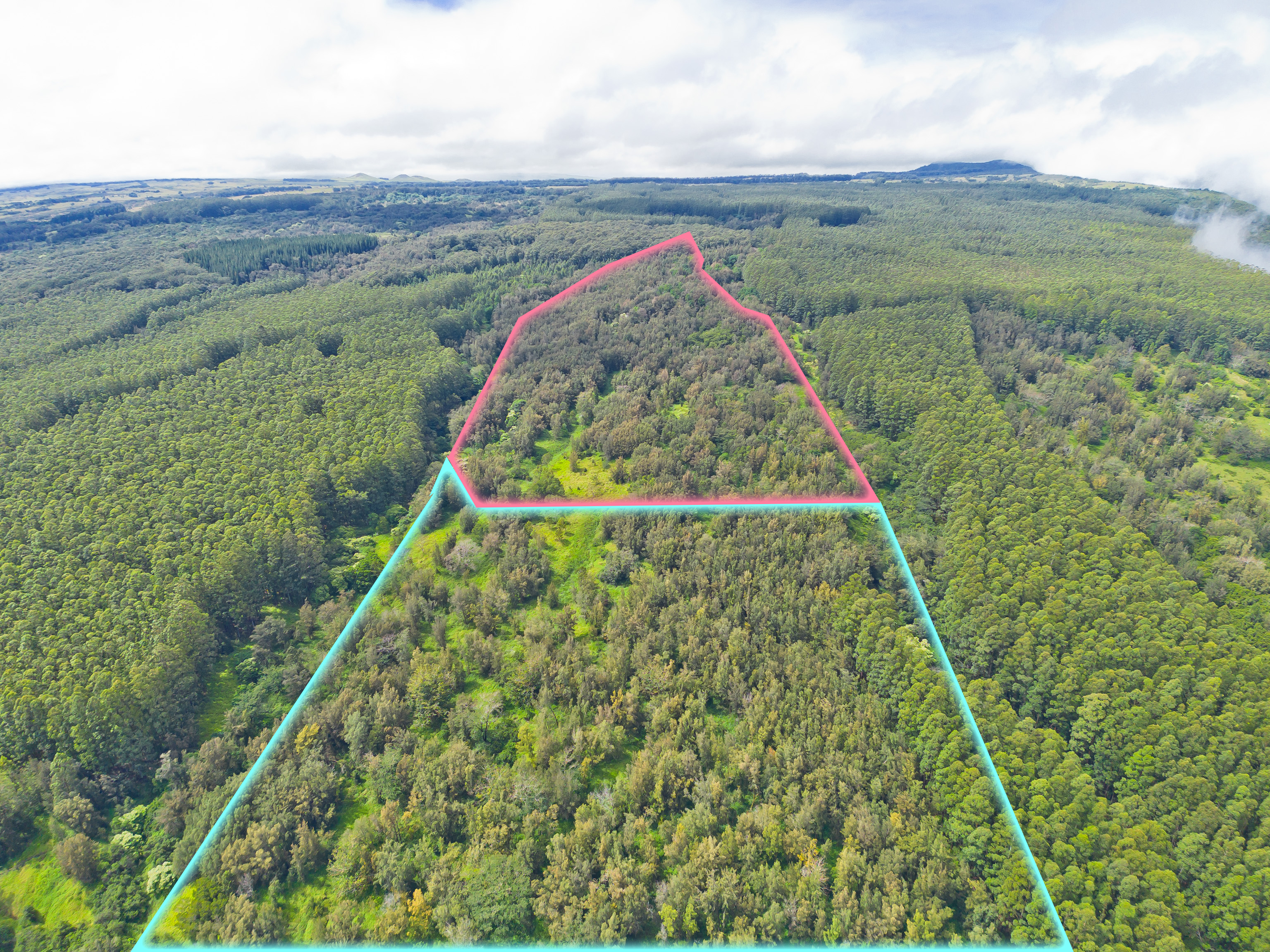 Undisclosed Address Honokaa, HI 96727 - Photo 4 of 15