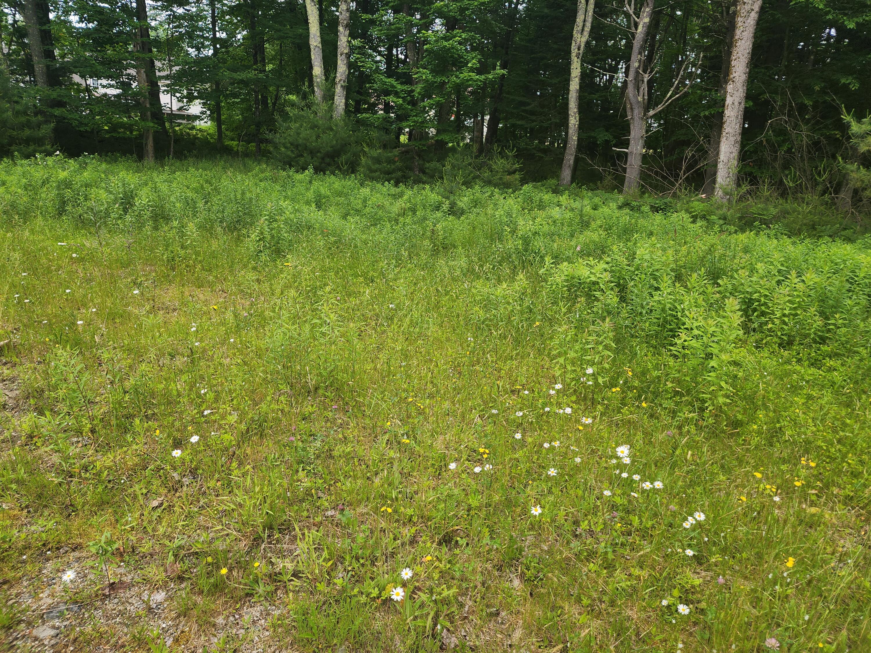 28 Marshall Valley Road Windham, ME 04062 - Photo 4 of 5 20240614_104433