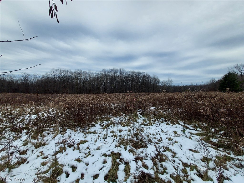 Girdled Road Painesville, OH 44077 - Photo 1 of 6 Gallery Image 1
