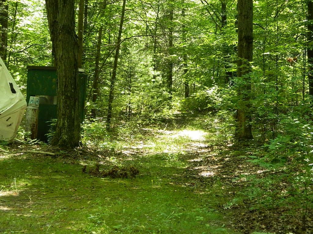3285 West Maple Grove Road Farwell, MI 48622 - Photo 9 of 12
