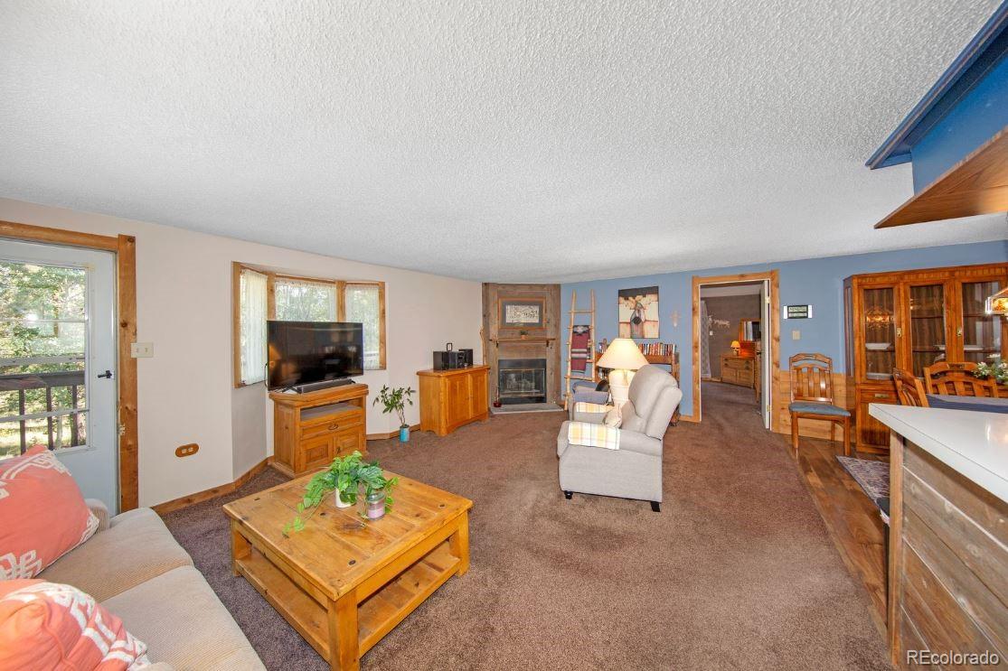 567 Forest Drive Bailey, CO 80421 - Photo 9 of 33