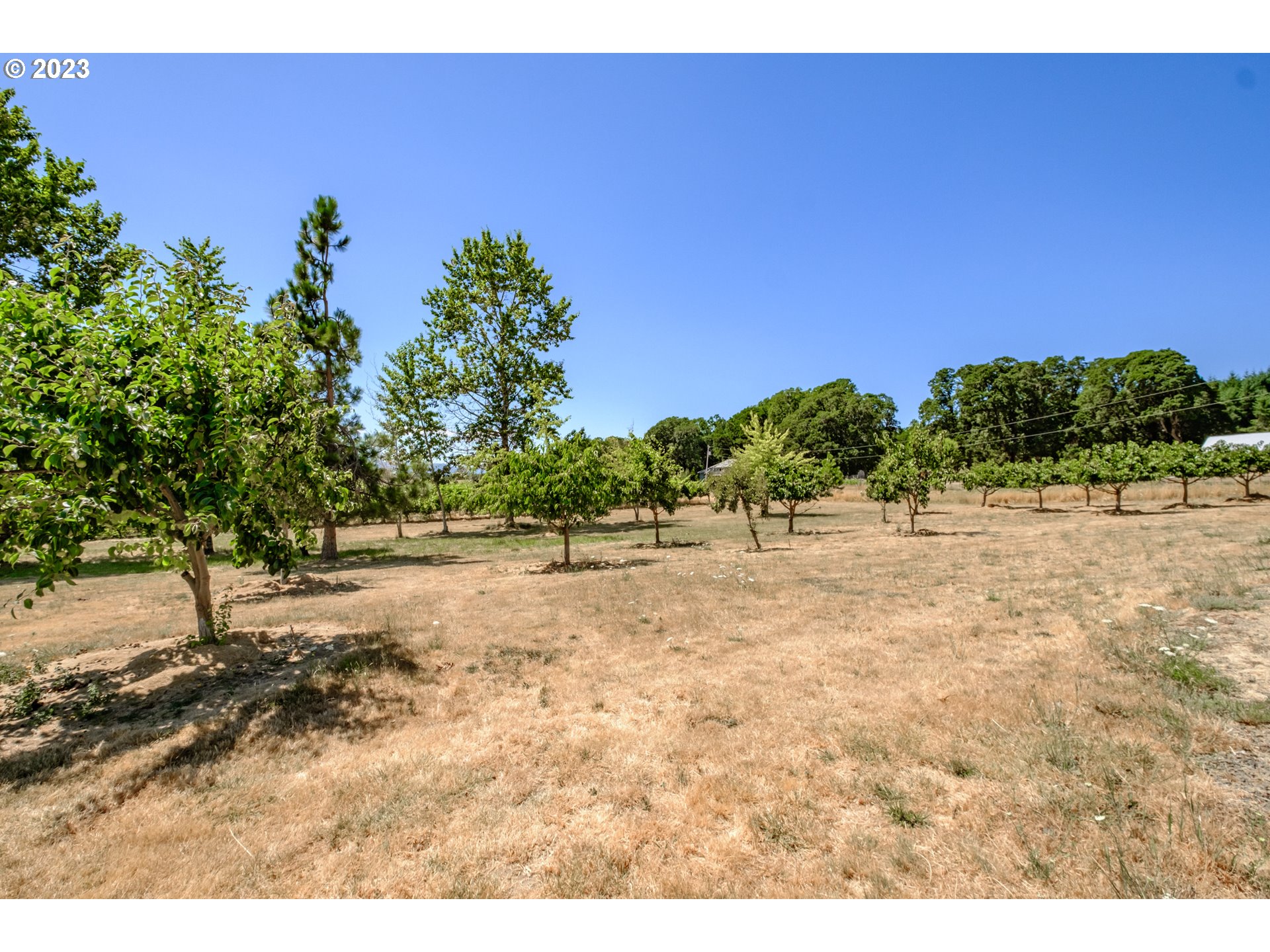 10845 Brateng Road Monmouth, OR 97361 - Photo 12 of 42 Gallery Image 12