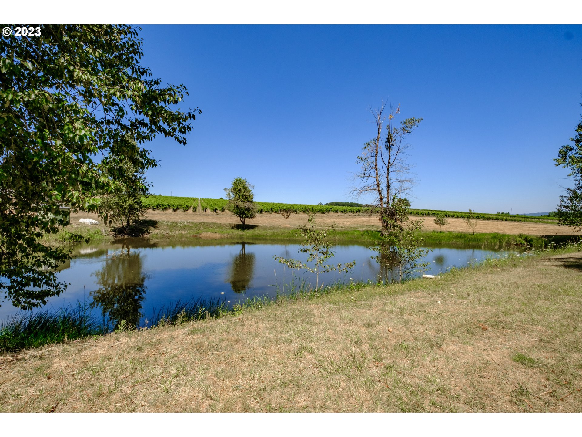 10845 Brateng Road Monmouth, OR 97361 - Photo 19 of 42 Gallery Image 19