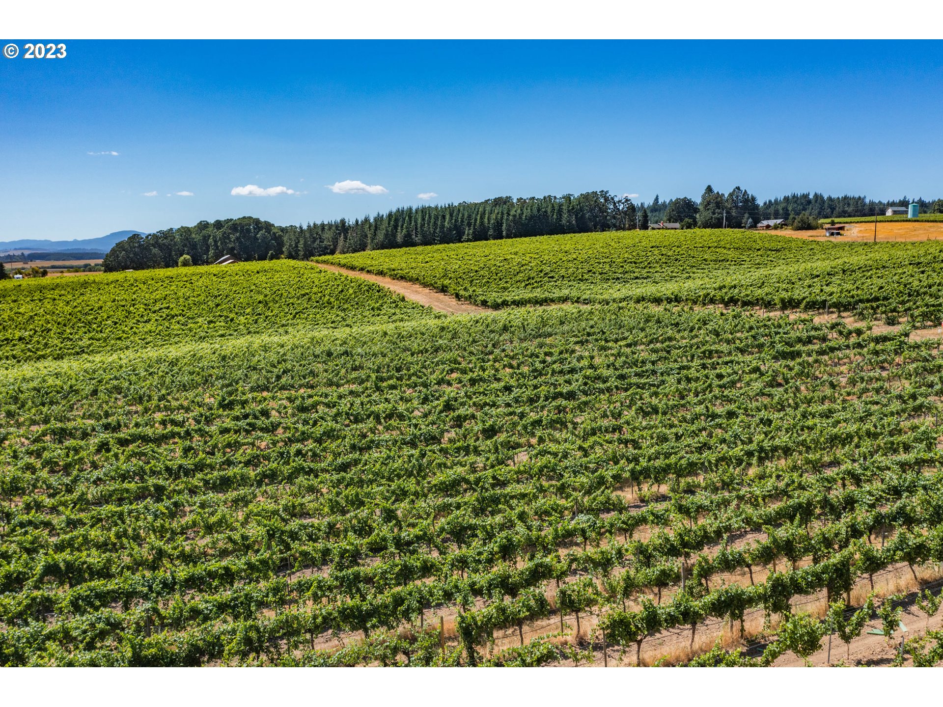 10845 Brateng Road Monmouth, OR 97361 - Photo 5 of 42 Gallery Image 5