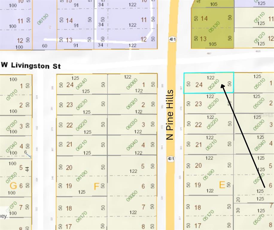 387 North Pine Hills Road Orlando, FL 32811 - Photo 2 of 3 a picture of a painting on the wall next to a wall