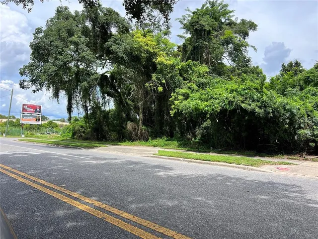 a view of a yard with a tree