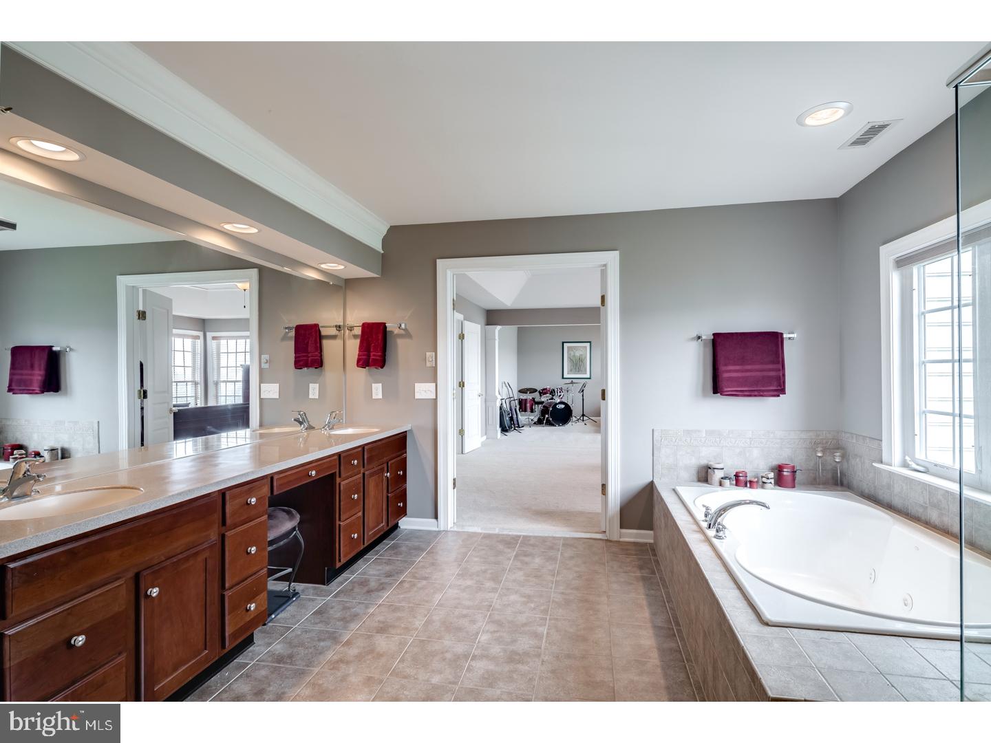 219 Hopkins Road Mickleton, NJ 08056 - Photo 6 of 25 Master Bathroom