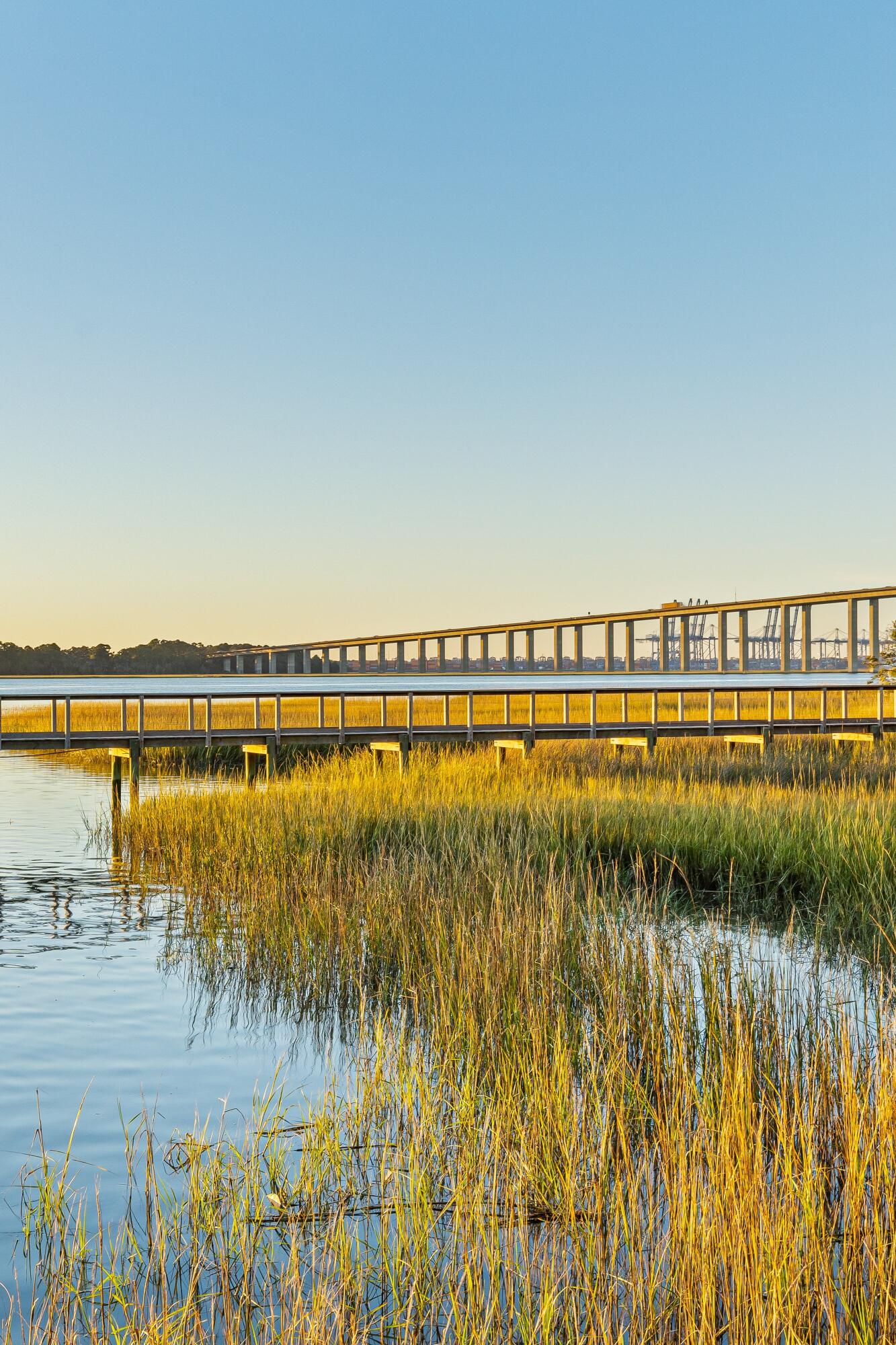428 Ralston Creek Street Daniel Island, SC 29492 - Photo 7 of 115 photo_007