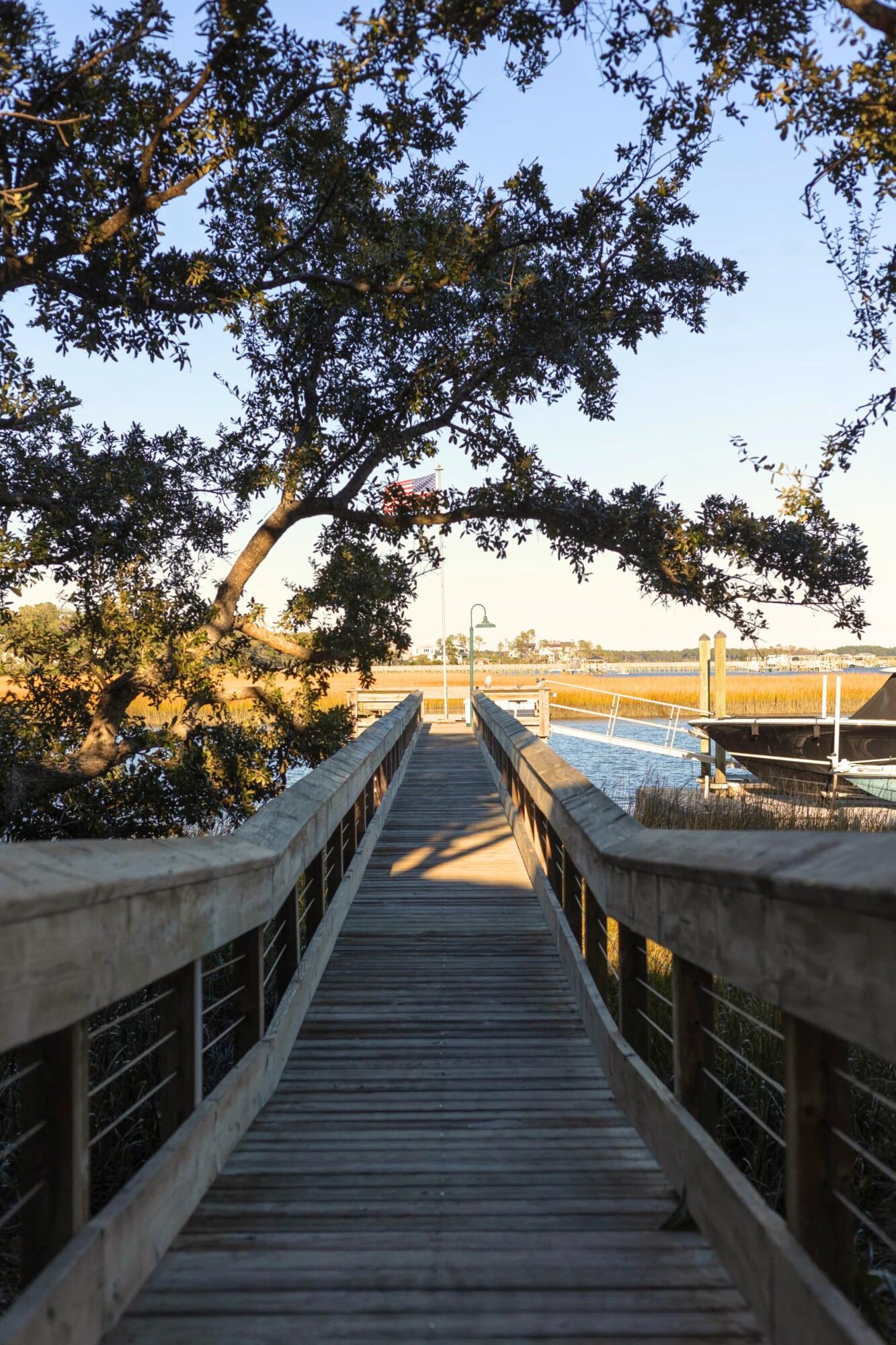 428 Ralston Creek Street Daniel Island, SC 29492 - Photo 78 of 115 photo_079