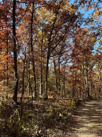 $40,000 | 10.4-ac State Hwy T Road, Stover, MO 65078