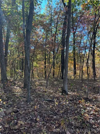 $40,000 | 10.4-ac State Hwy T Road, Stover, MO 65078
