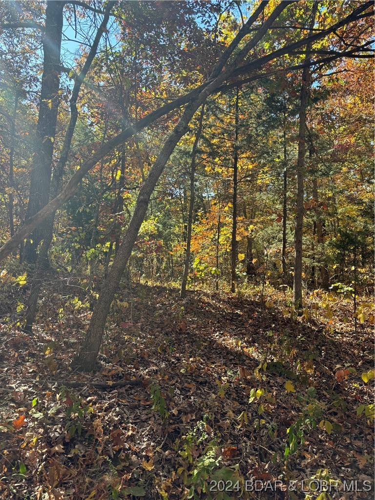 10.4-ac State Hwy T Road Stover, MO 65078 - Photo 3 of 11