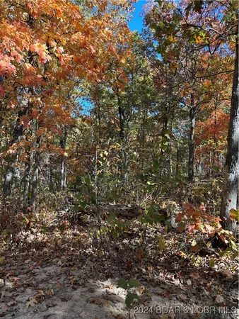 $40,000 | 10.4-ac State Hwy T Road, Stover, MO 65078