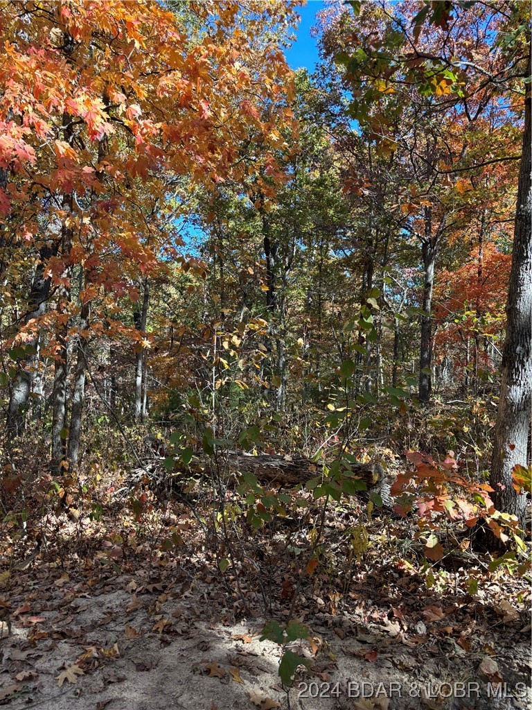 10.4-ac State Hwy T Road Stover, MO 65078 - Photo 4 of 11
