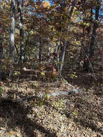 $40,000 | 10.4-ac State Hwy T Road, Stover, MO 65078