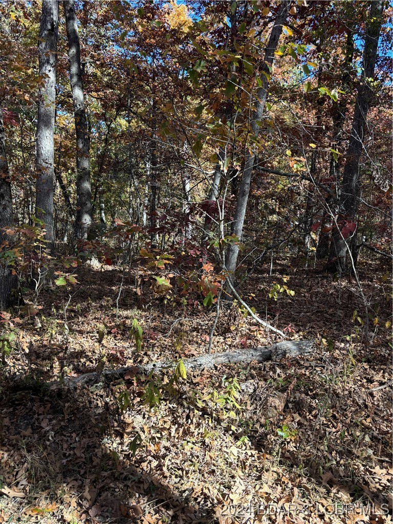 10.4-ac State Hwy T Road Stover, MO 65078 - Photo 5 of 11