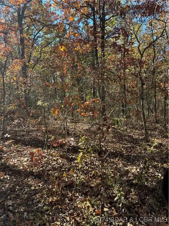 $40,000 | 10.4-ac State Hwy T Road, Stover, MO 65078