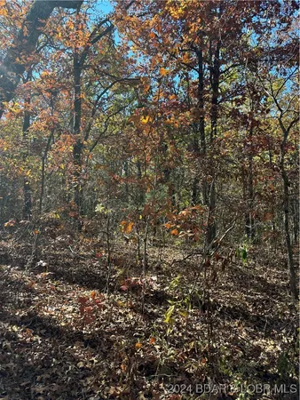 $40,000 | 10.4-ac State Hwy T Road, Stover, MO 65078