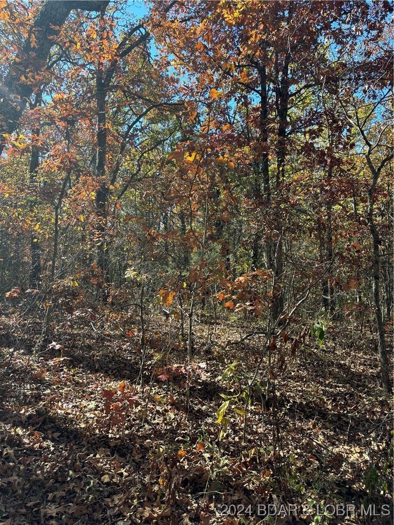 10.4-ac State Hwy T Road Stover, MO 65078 - Photo 7 of 11