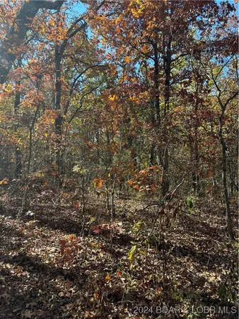$40,000 | 10.4-ac State Hwy T Road, Stover, MO 65078
