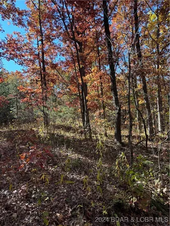 $40,000 | 10.4-ac State Hwy T Road, Stover, MO 65078
