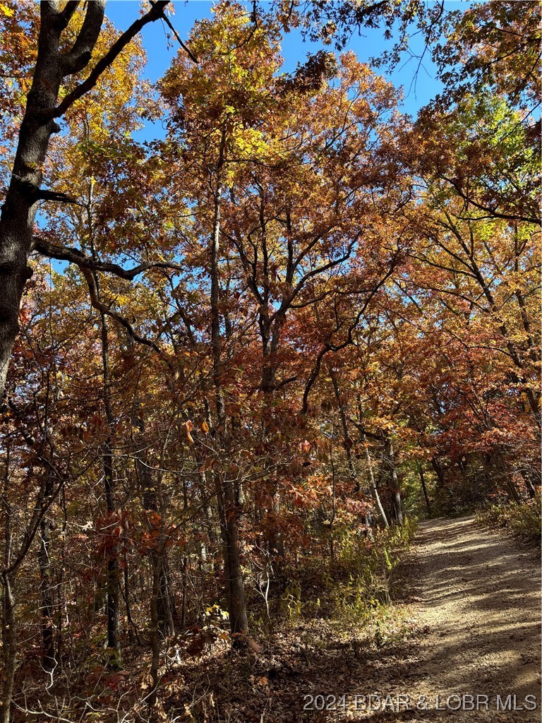10.4-ac State Hwy T Road Stover, MO 65078 - Photo 10 of 11