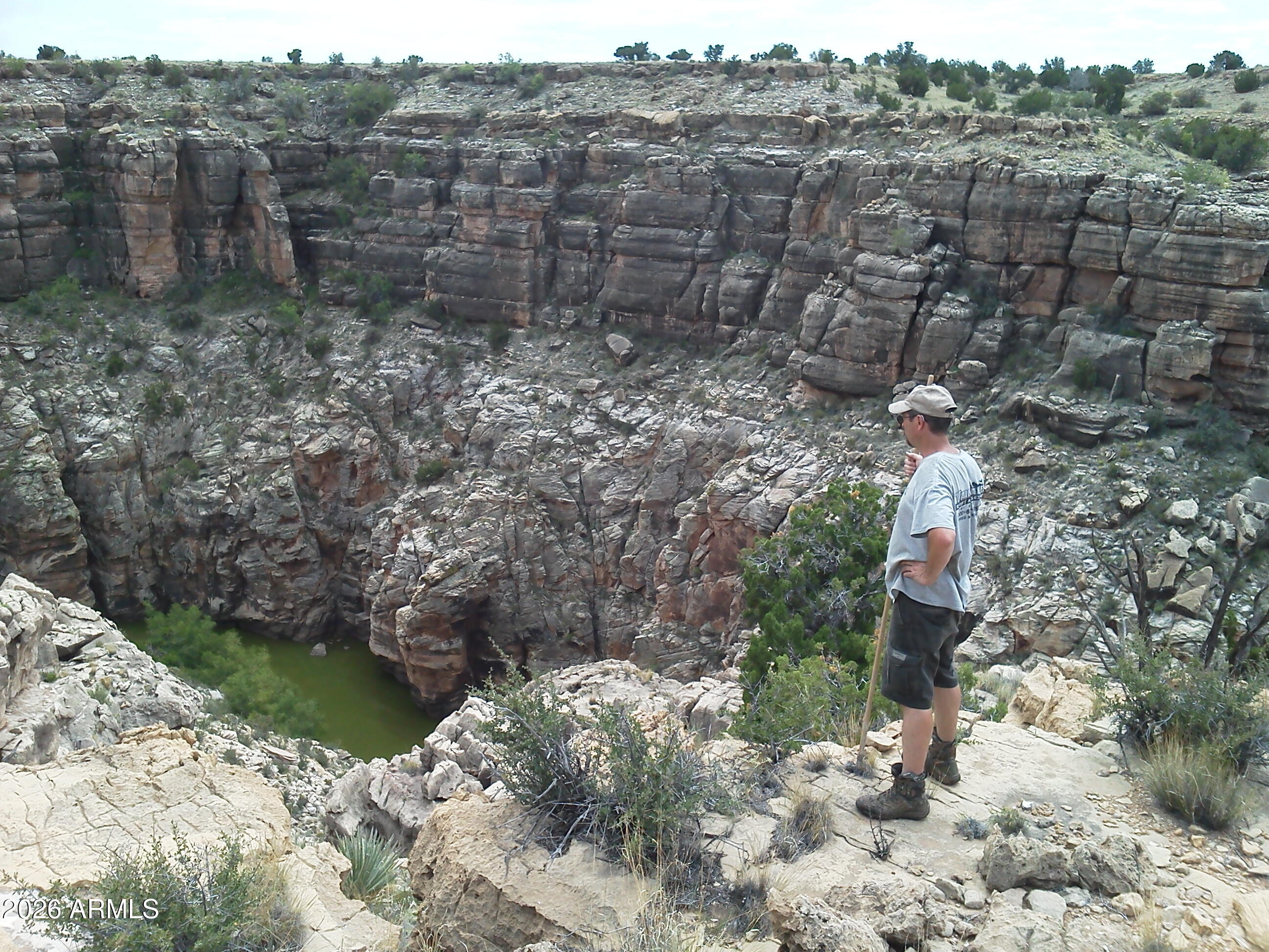 664 Ccr, Unit 664 Heber, AZ 85928 - Photo 2 of 4 a view of a forest with a yard