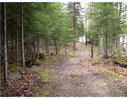 50 Field Way Rangeley, ME 04970 - Photo 24 of 25 Waterfront/Dock/Pier. Path into...