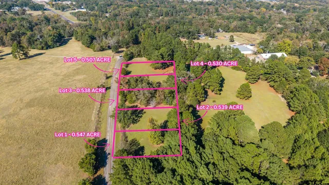 a view of lot of flowers and flowers