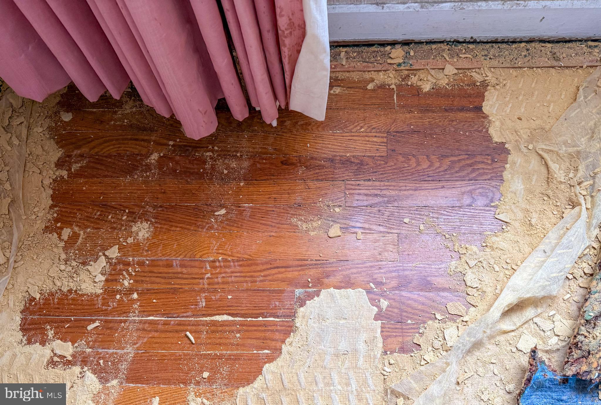 6333 Cottage Street Philadelphia, PA 19135 - Photo 6 of 23 a view of a backyard