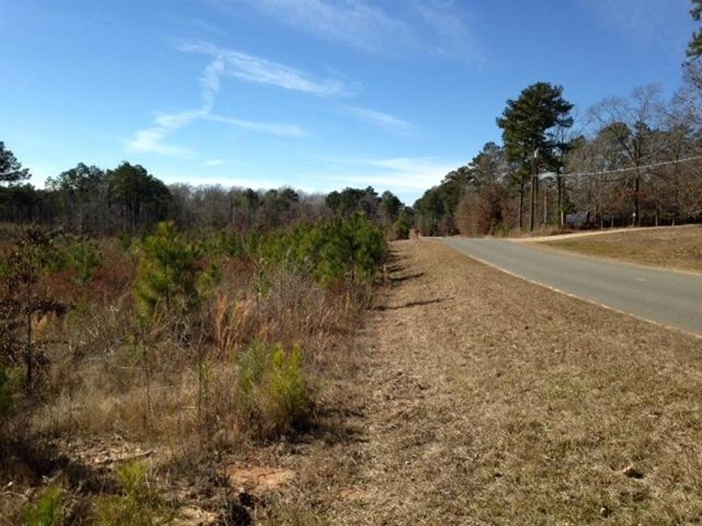 Tbd Section Line Road Leesville, LA 71446 - Photo 4 of 6