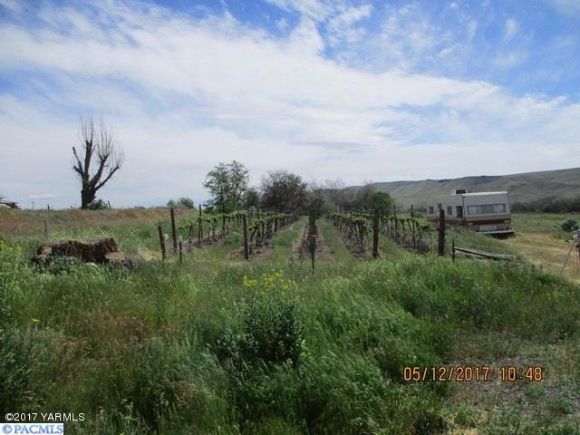 27446 North Case Road Prosser, WA 99350 - Photo 8 of 9 a view of a city with lush green forest