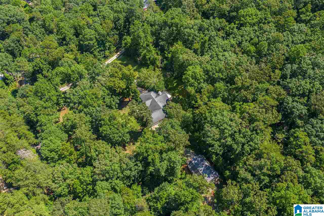 1025 Pine Mountain Road Remlap, AL 35133 - Photo 38 of 40