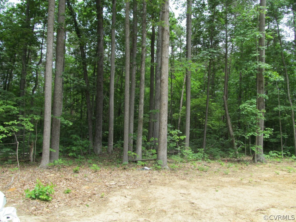 2972 Ballsville Road Powhatan, VA 23139 - Photo 3 of 5 Gallery Image 3