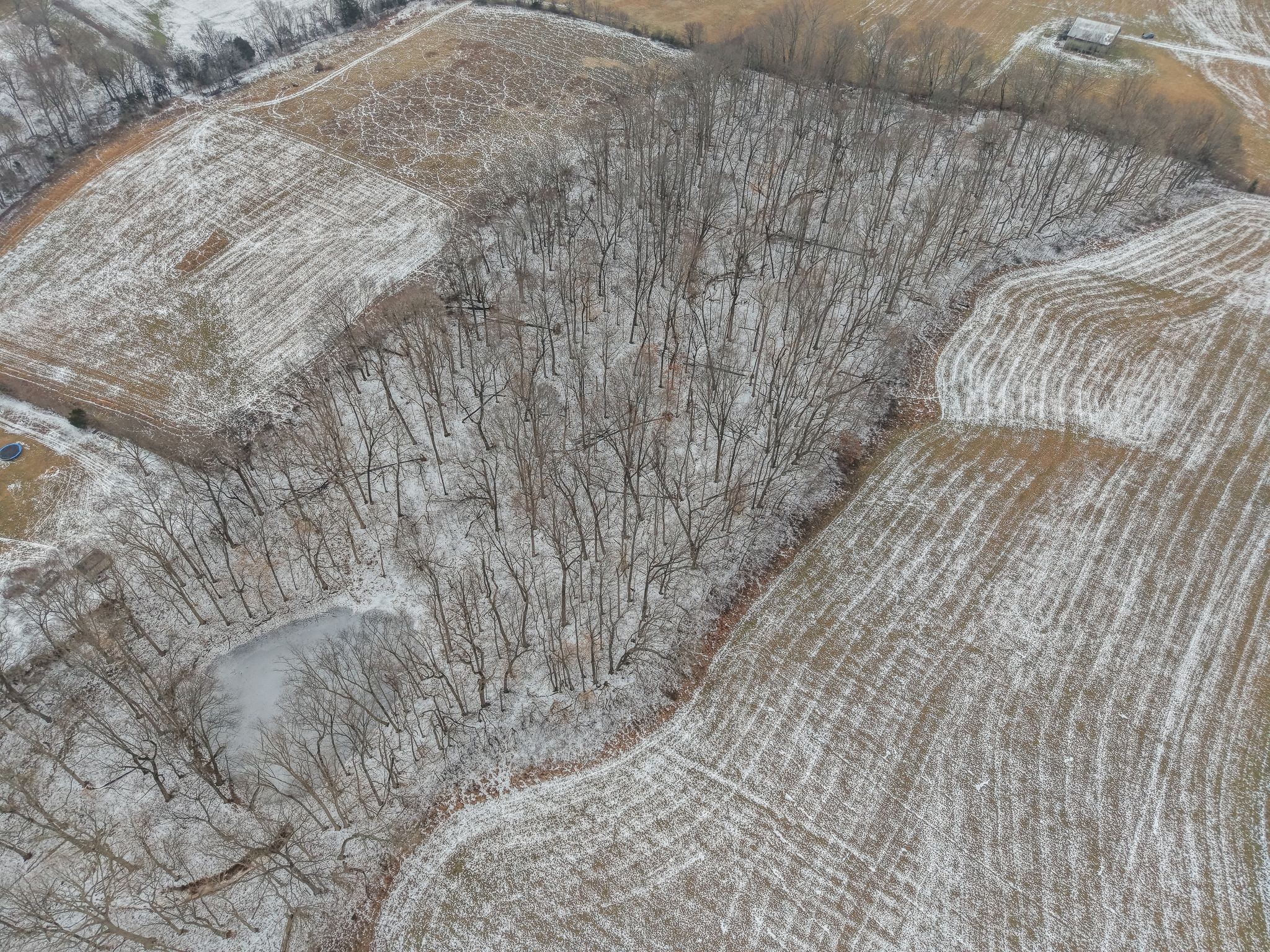 0 Owens Chapel Road Springfield, TN 37172 - Photo 19 of 33