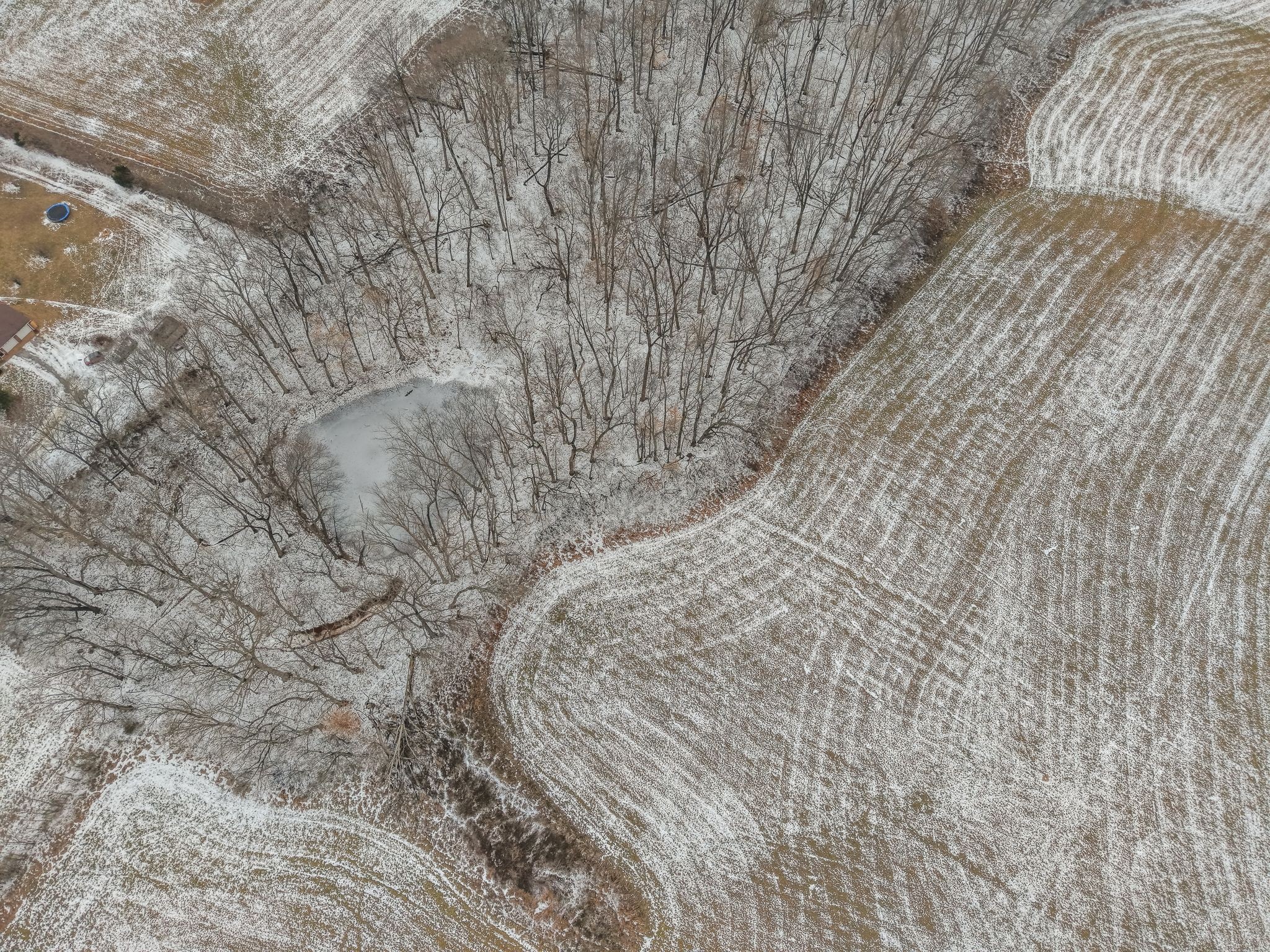 0 Owens Chapel Road Springfield, TN 37172 - Photo 20 of 33