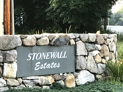 a view of outdoor space with garden and furniture