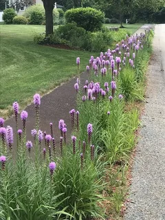 a view of a porch with a table and chairs