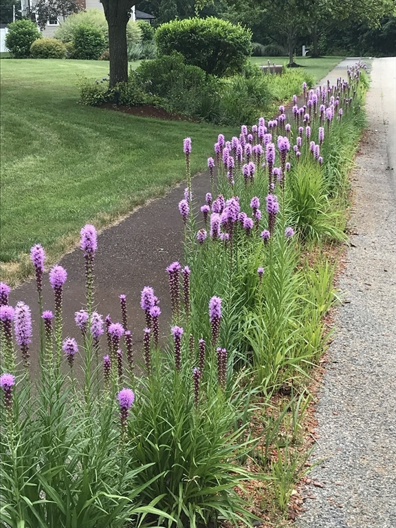 10 Proud Foot Way Hanson, MA 02341 - Photo 30 of 39