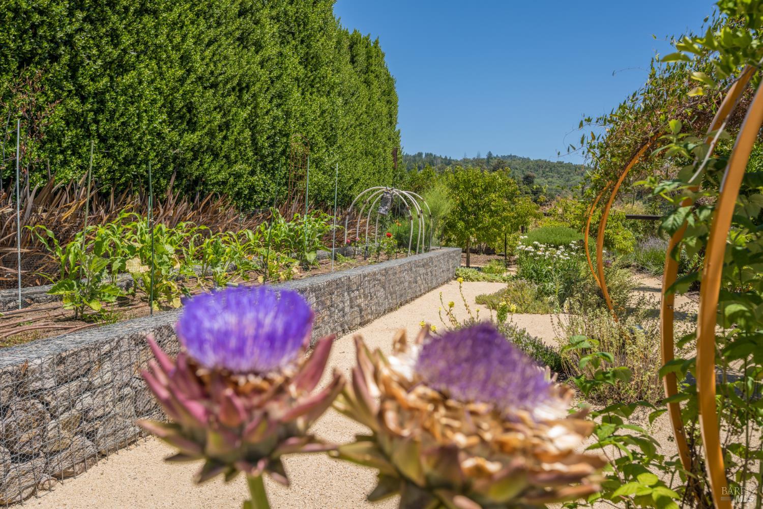 1265 Castle Road Sonoma, CA 95476 - Photo 12 of 22