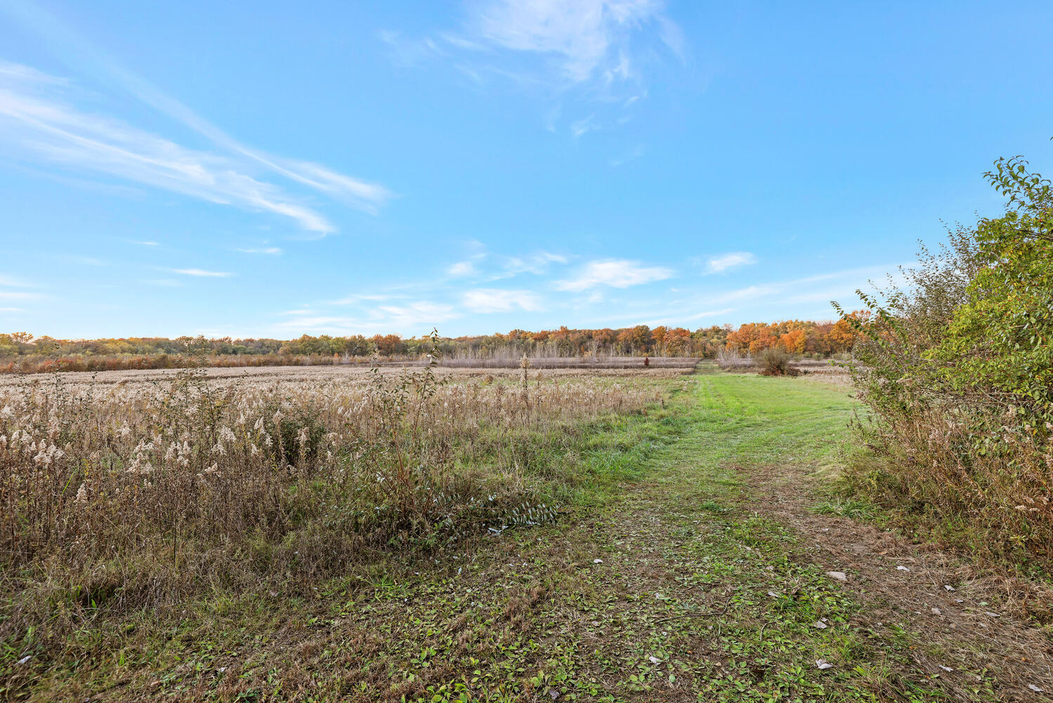 1 River Vly Rnch Road White Heath, IL 61884 - Photo 13 of 66 a view of a lake with houses in the back