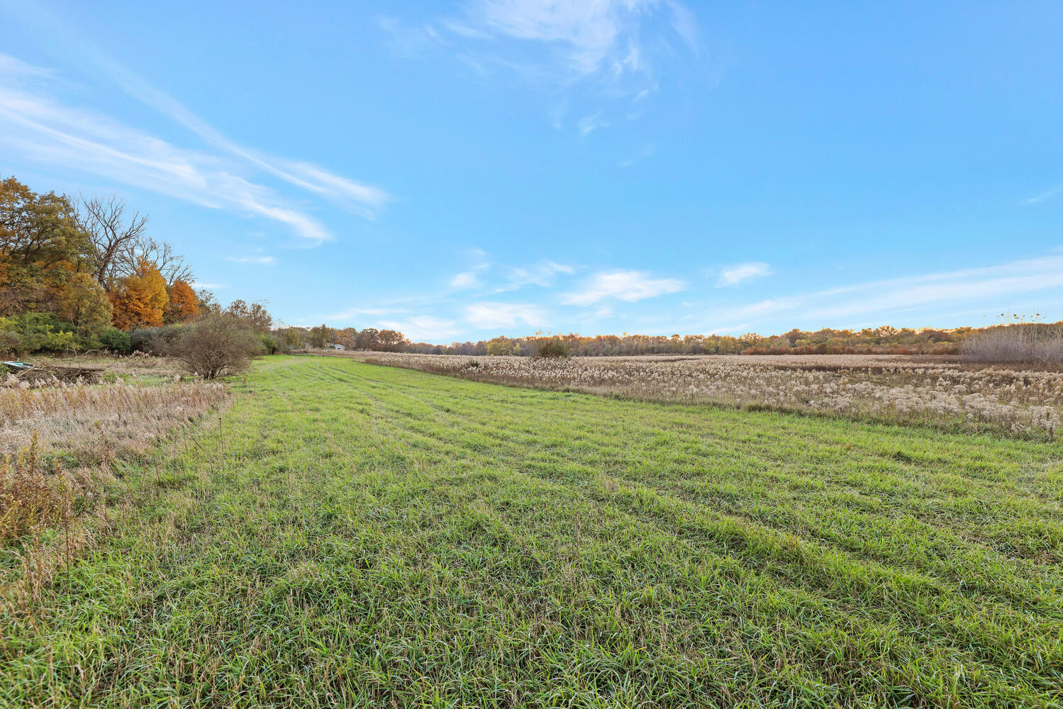 1 River Vly Rnch Road White Heath, IL 61884 - Photo 15 of 66 a view of a field with an ocean