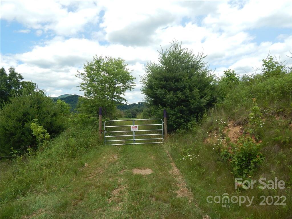 0 Cronin Road Waynesville, NC 28785 - Photo 15 of 21 a backyard of a house with lots of green space