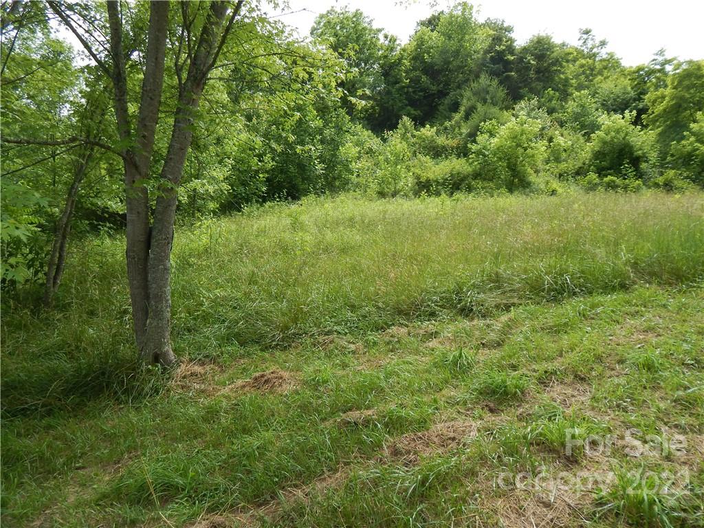 0 Cronin Road Waynesville, NC 28785 - Photo 16 of 21 a view of a lush green forest with large trees