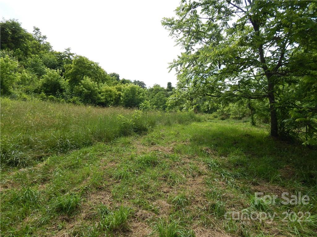 0 Cronin Road Waynesville, NC 28785 - Photo 17 of 21 a view of a lush green space