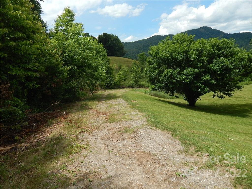 0 Cronin Road Waynesville, NC 28785 - Photo 18 of 21 a view of a yard with plants and a large tree
