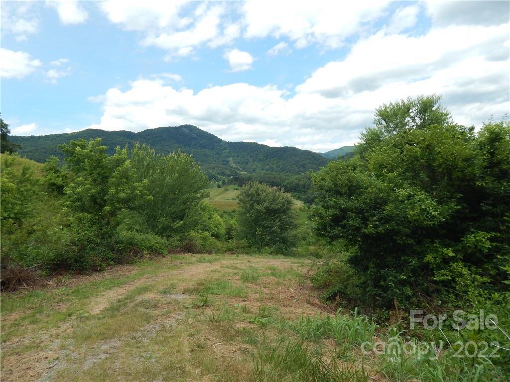 0 Cronin Road Waynesville, NC 28785 - Photo 19 of 21 a view of a lush green mountain
