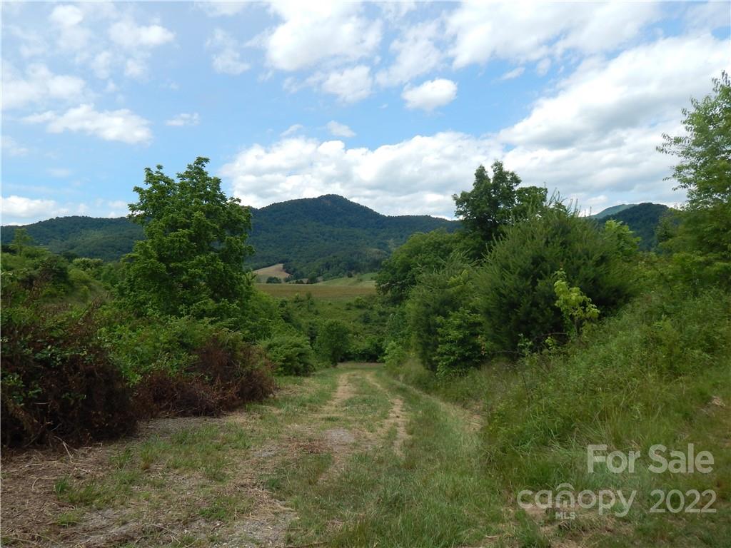 0 Cronin Road Waynesville, NC 28785 - Photo 20 of 21 a view of a yard with plants and a bench