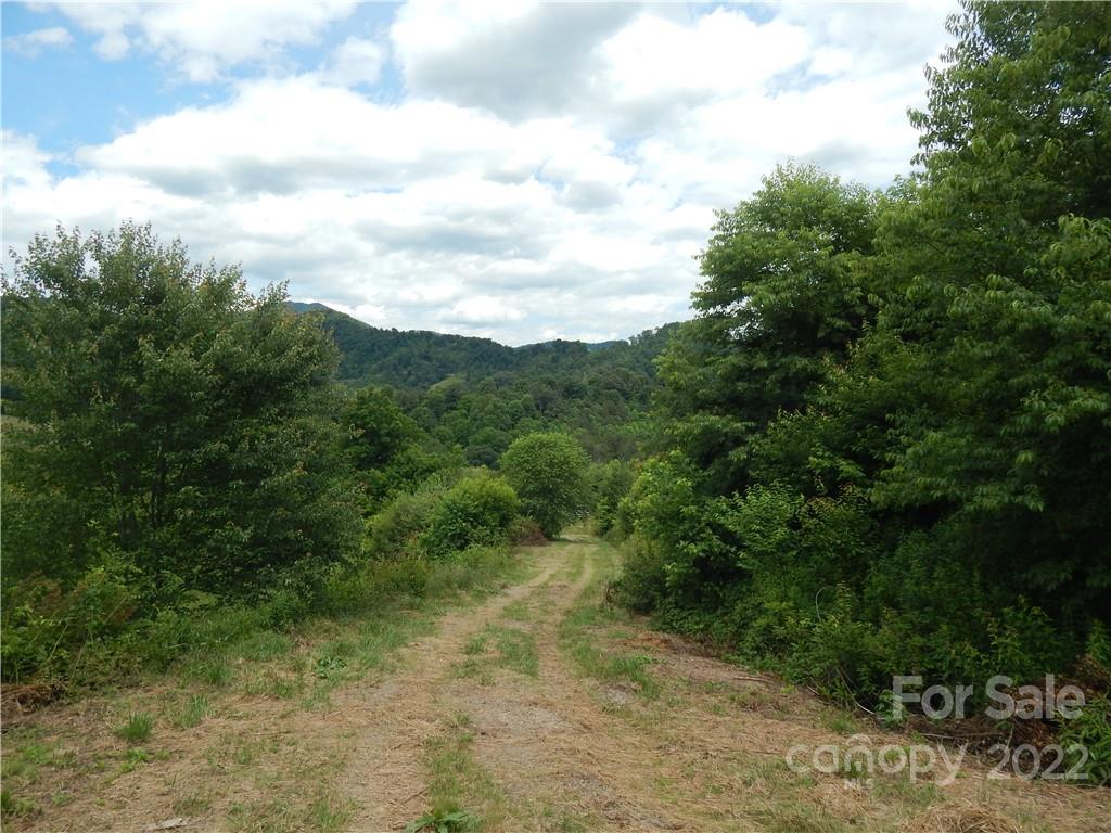 0 Cronin Road Waynesville, NC 28785 - Photo 21 of 21 a view of a field with trees in the background
